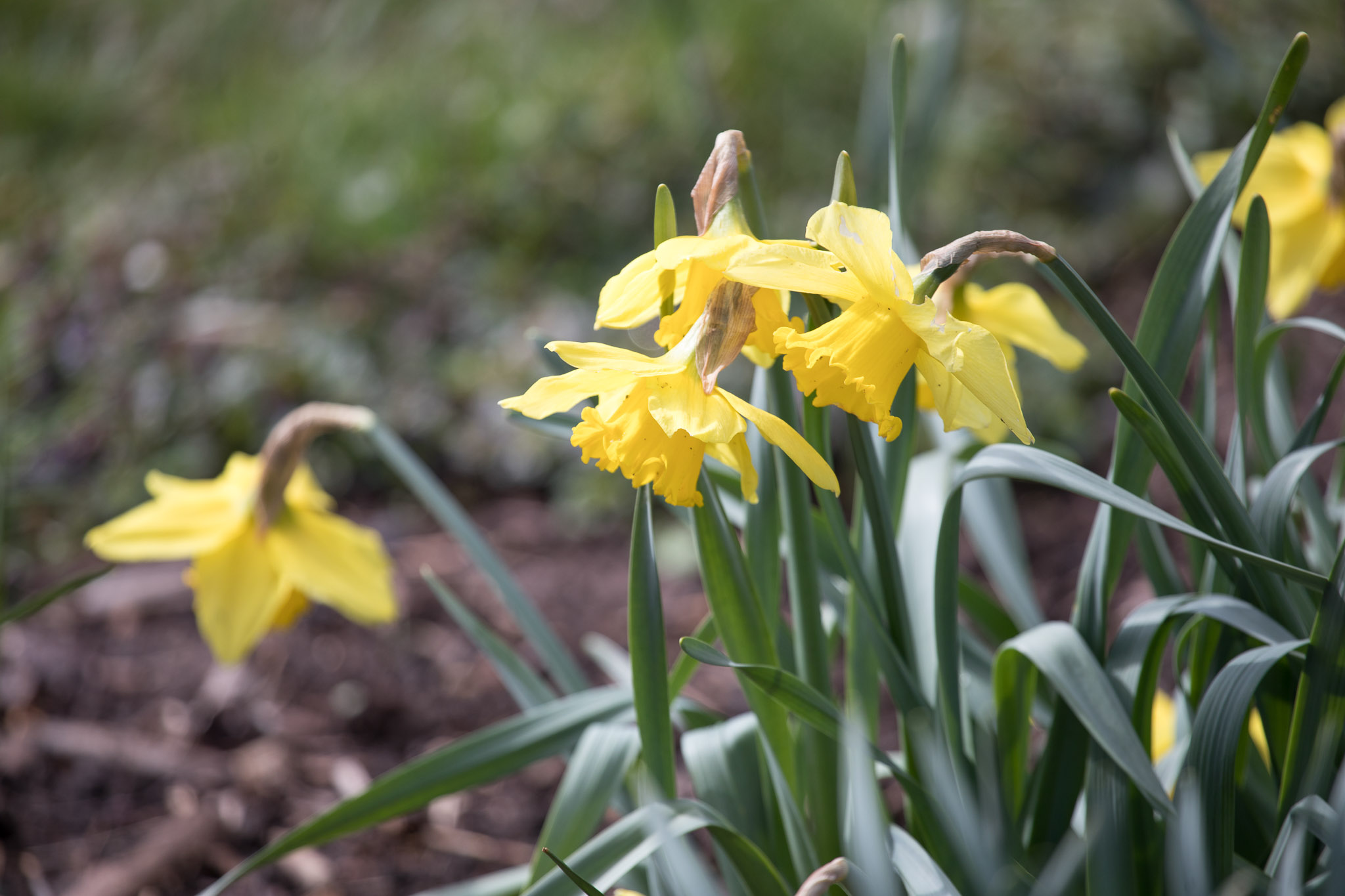 20220409155320 RD4 6528